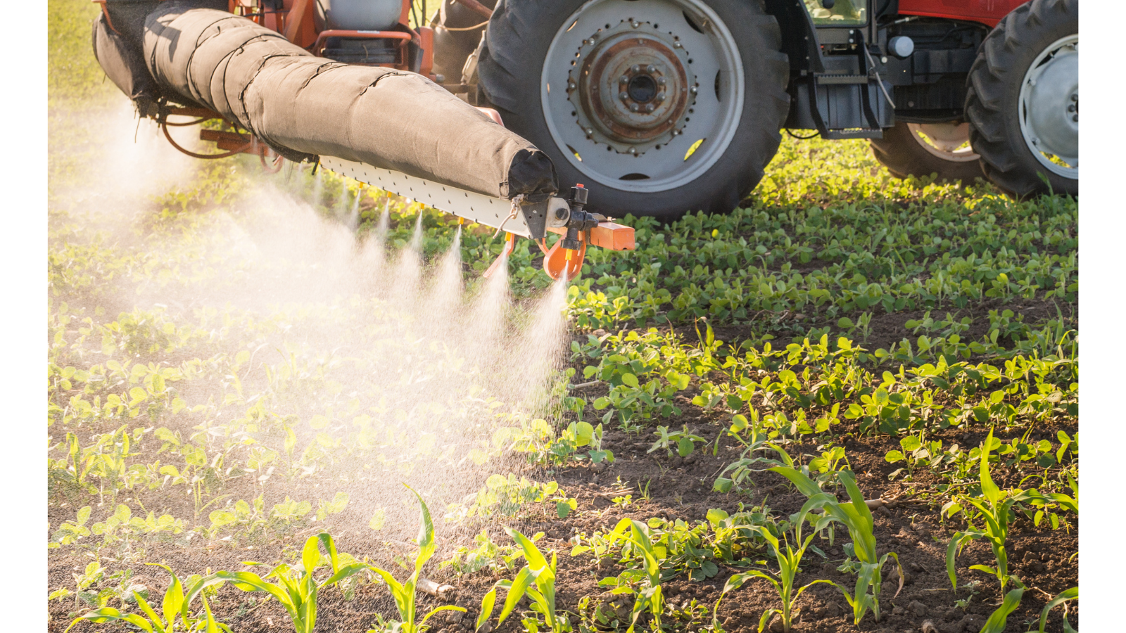 pesticidy v zelenine vyziva a hubnuti vymlatilova