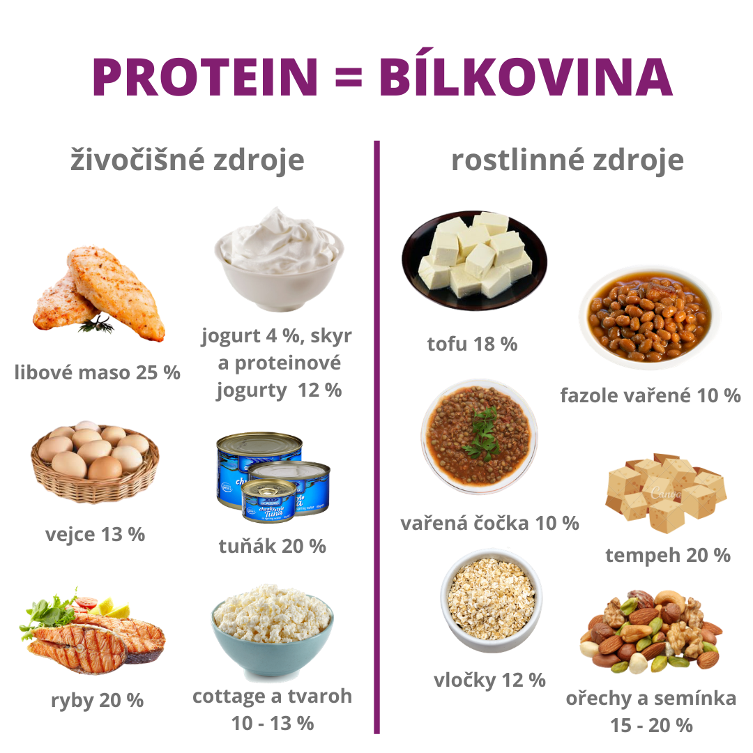 Jak dostat do těla proteiny?